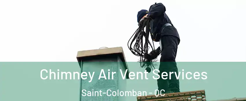  Chimney Air Vent Services Saint-Colomban - QC