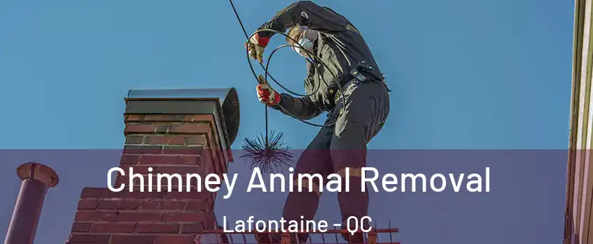 Chimney Animal Removal Lafontaine - QC