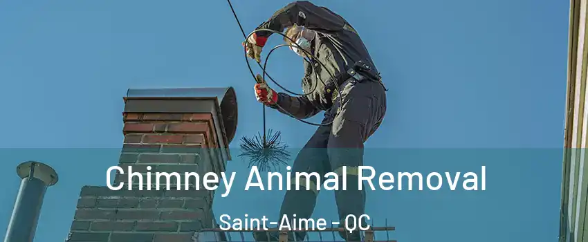 Chimney Animal Removal Saint-Aime - QC