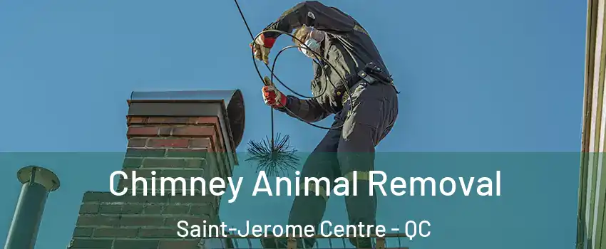 Chimney Animal Removal Saint-Jerome Centre - QC