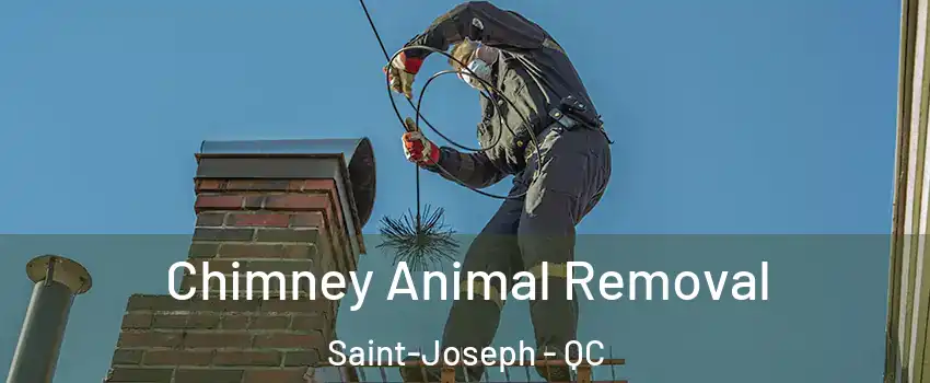 Chimney Animal Removal Saint-Joseph - QC