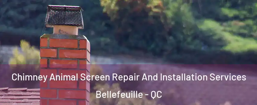  Chimney Animal Screen Repair And Installation Services Bellefeuille - QC