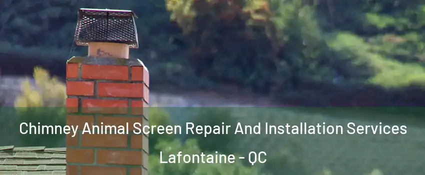  Chimney Animal Screen Repair And Installation Services Lafontaine - QC