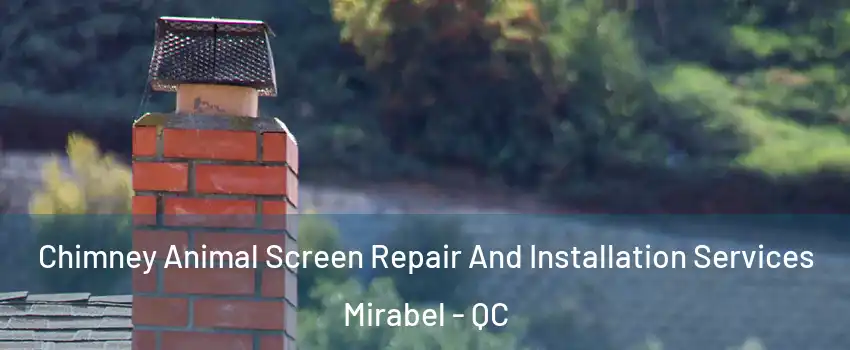  Chimney Animal Screen Repair And Installation Services Mirabel - QC