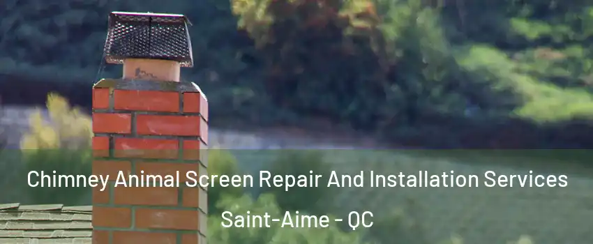  Chimney Animal Screen Repair And Installation Services Saint-Aime - QC