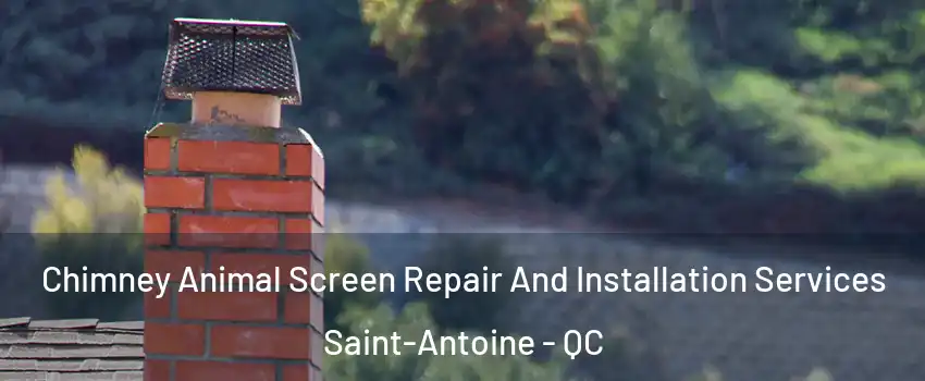  Chimney Animal Screen Repair And Installation Services Saint-Antoine - QC