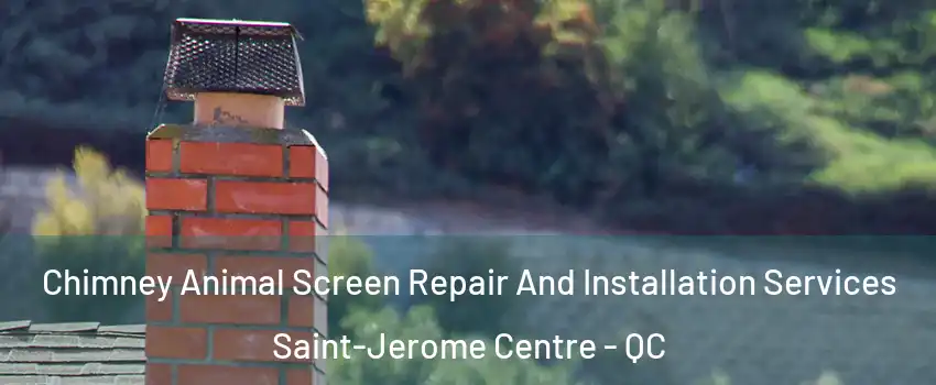  Chimney Animal Screen Repair And Installation Services Saint-Jerome Centre - QC