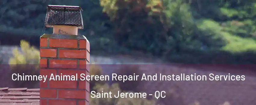  Chimney Animal Screen Repair And Installation Services Saint Jerome - QC