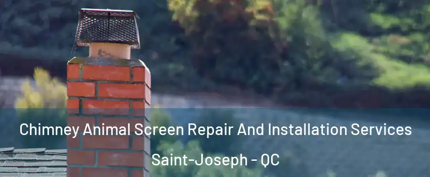 Chimney Animal Screen Repair And Installation Services Saint-Joseph - QC