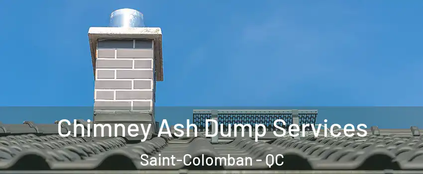  Chimney Ash Dump Services Saint-Colomban - QC