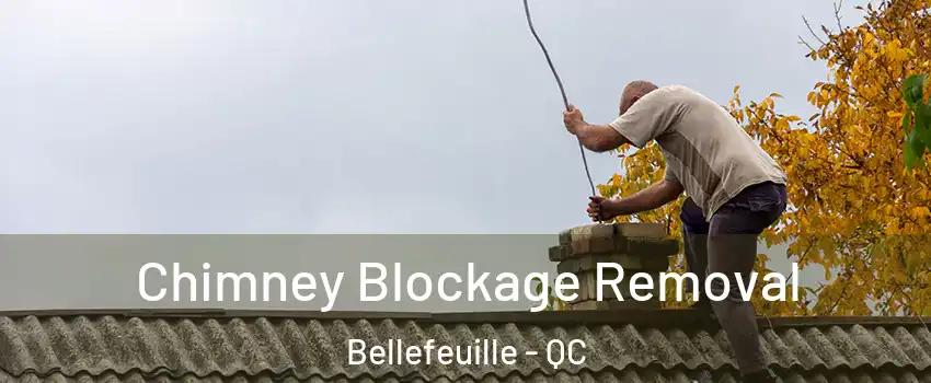 Chimney Blockage Removal Bellefeuille - QC