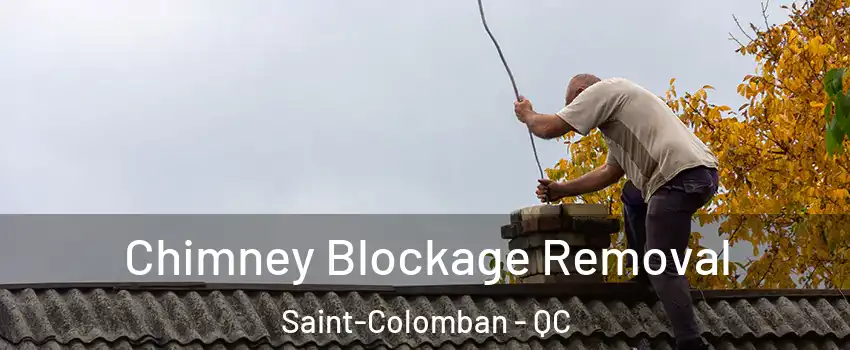  Chimney Blockage Removal Saint-Colomban - QC