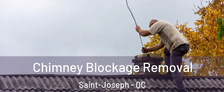  Chimney Blockage Removal Saint-Joseph - QC