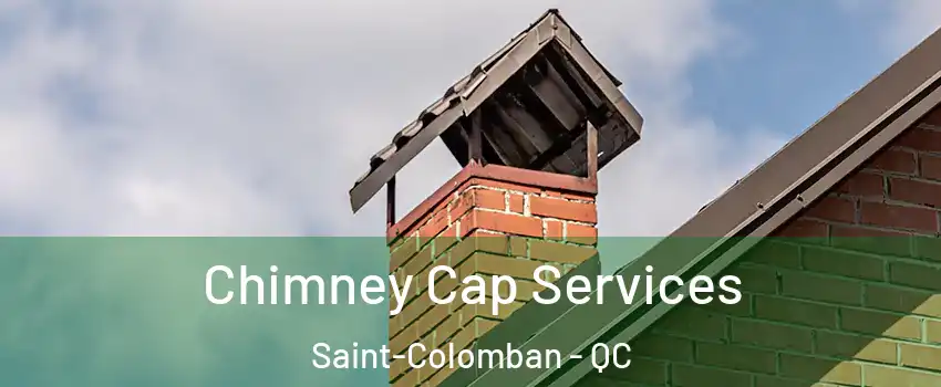  Chimney Cap Services Saint-Colomban - QC