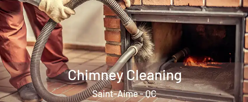  Chimney Cleaning Saint-Aime - QC