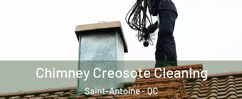  Chimney Creosote Cleaning Saint-Antoine - QC
