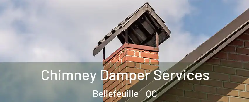  Chimney Damper Services Bellefeuille - QC