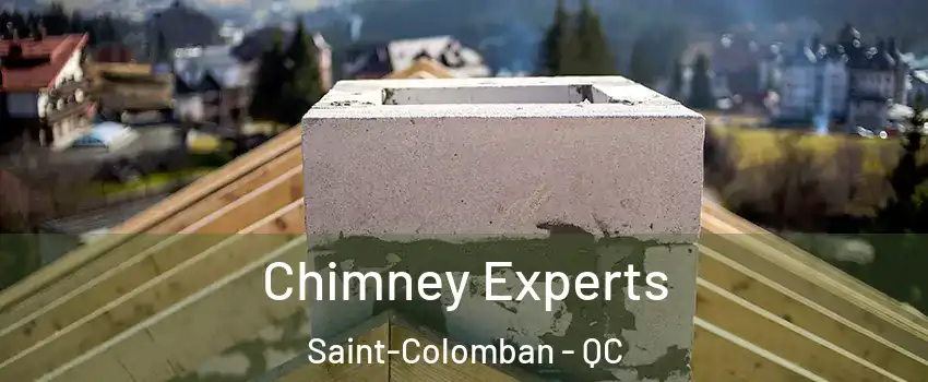 Chimney Experts Saint-Colomban - QC