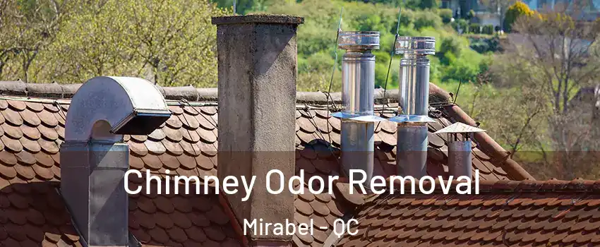  Chimney Odor Removal Mirabel - QC