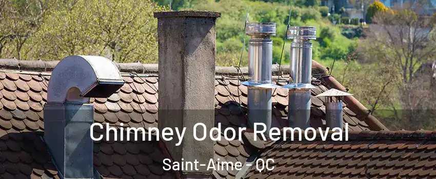  Chimney Odor Removal Saint-Aime - QC