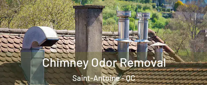  Chimney Odor Removal Saint-Antoine - QC