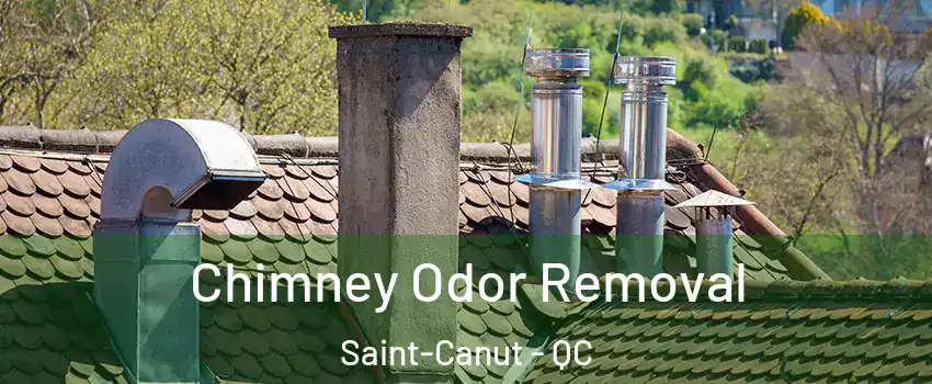  Chimney Odor Removal Saint-Canut - QC