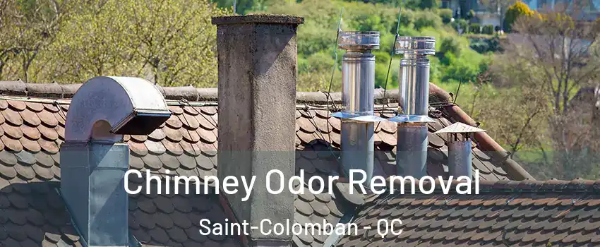  Chimney Odor Removal Saint-Colomban - QC