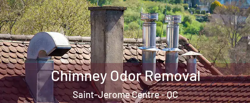  Chimney Odor Removal Saint-Jerome Centre - QC
