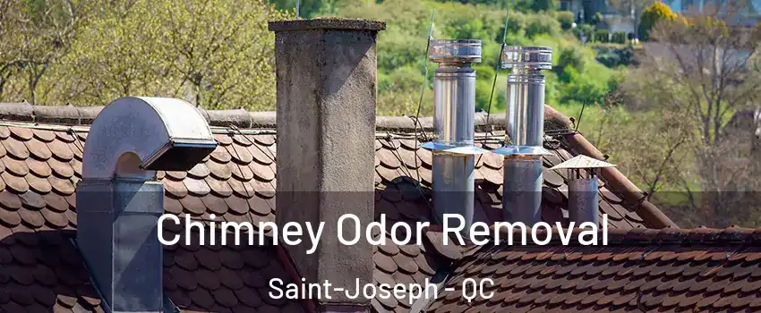  Chimney Odor Removal Saint-Joseph - QC