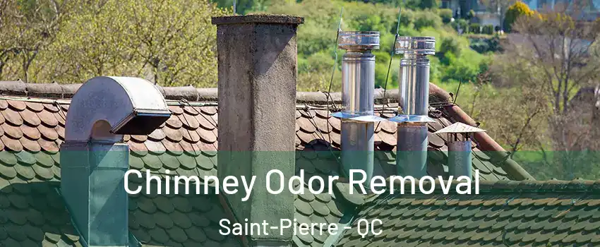  Chimney Odor Removal Saint-Pierre - QC