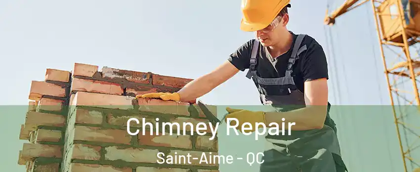  Chimney Repair Saint-Aime - QC