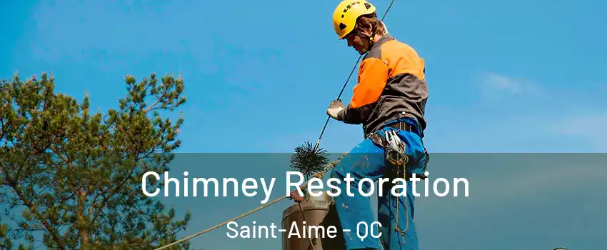  Chimney Restoration Saint-Aime - QC