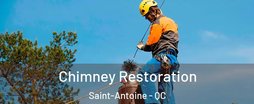  Chimney Restoration Saint-Antoine - QC