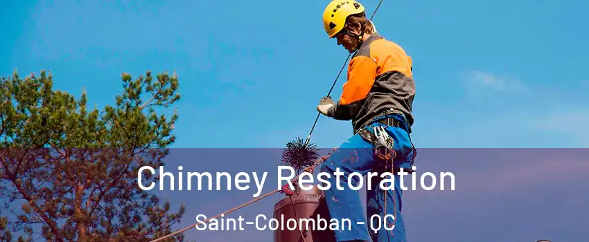  Chimney Restoration Saint-Colomban - QC