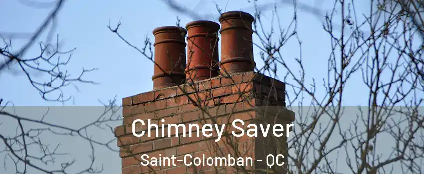  Chimney Saver Saint-Colomban - QC