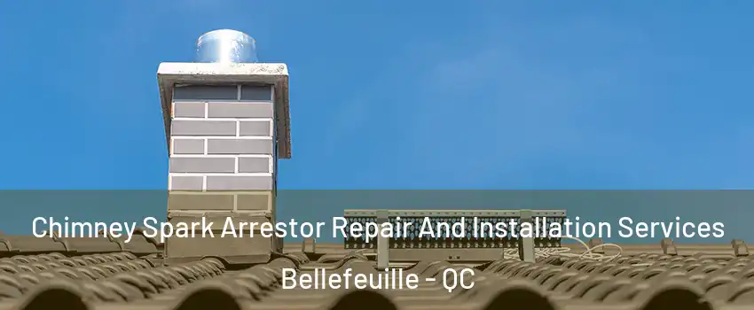 Chimney Spark Arrestor Repair And Installation Services Bellefeuille - QC