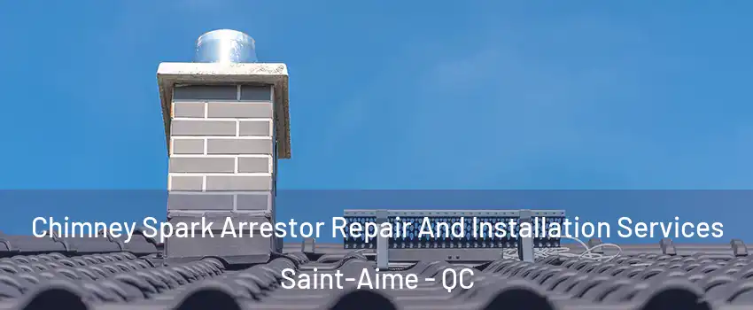  Chimney Spark Arrestor Repair And Installation Services Saint-Aime - QC