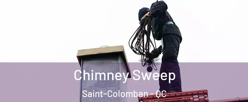  Chimney Sweep Saint-Colomban - QC