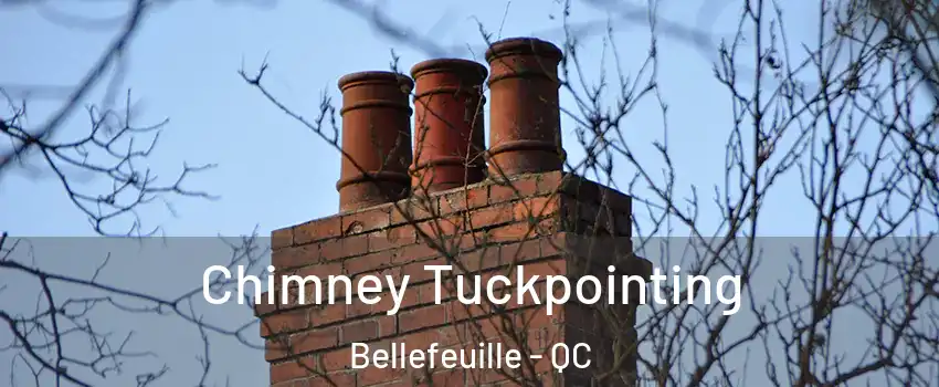  Chimney Tuckpointing Bellefeuille - QC