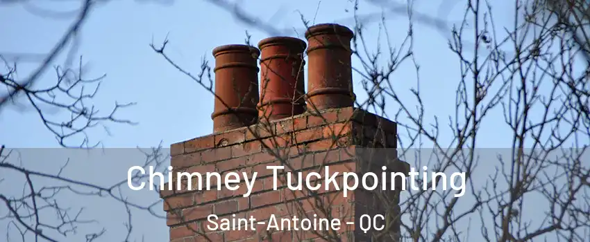  Chimney Tuckpointing Saint-Antoine - QC