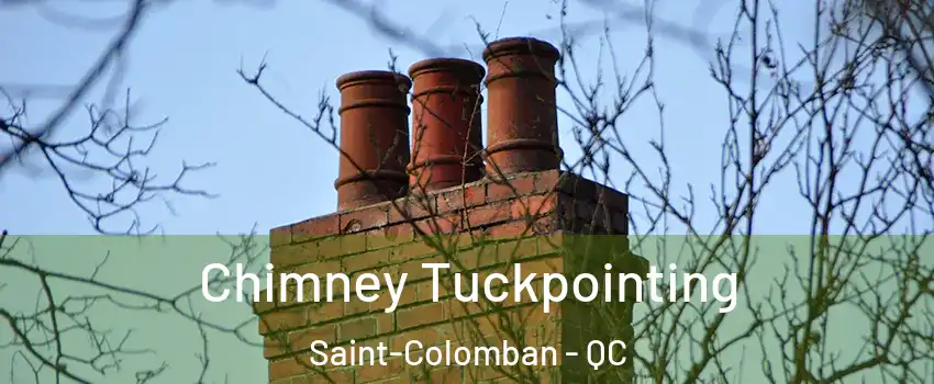  Chimney Tuckpointing Saint-Colomban - QC