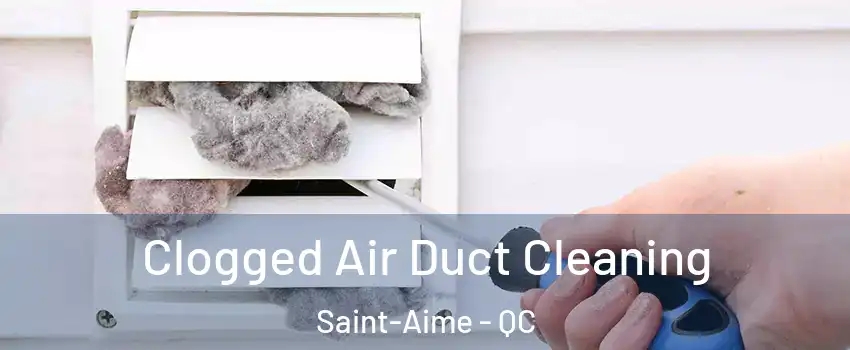  Clogged Air Duct Cleaning Saint-Aime - QC