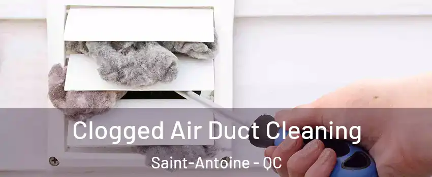  Clogged Air Duct Cleaning Saint-Antoine - QC
