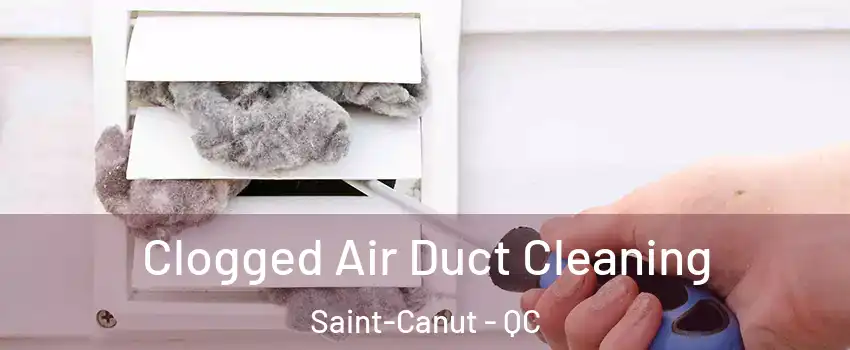  Clogged Air Duct Cleaning Saint-Canut - QC
