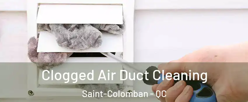  Clogged Air Duct Cleaning Saint-Colomban - QC