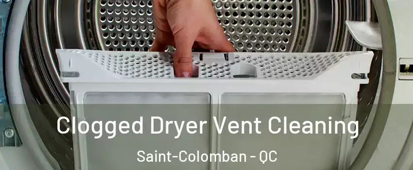  Clogged Dryer Vent Cleaning Saint-Colomban - QC