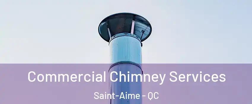  Commercial Chimney Services Saint-Aime - QC