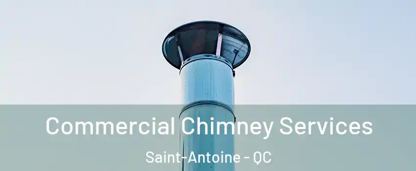  Commercial Chimney Services Saint-Antoine - QC