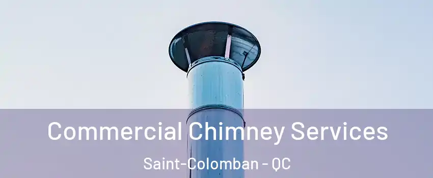  Commercial Chimney Services Saint-Colomban - QC