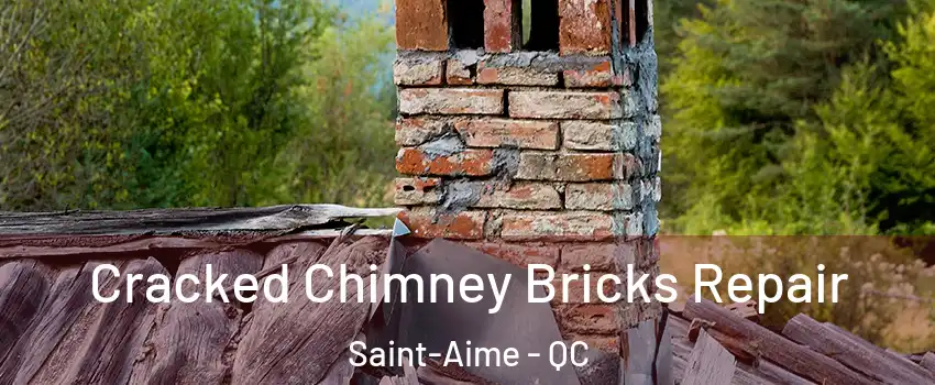  Cracked Chimney Bricks Repair Saint-Aime - QC